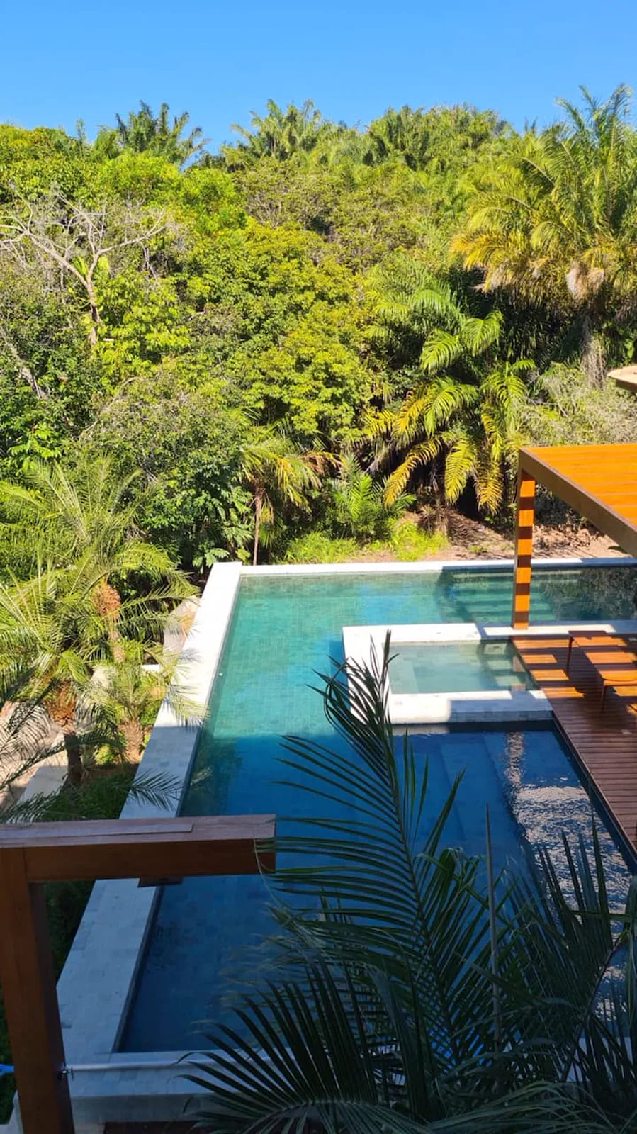 A piscina de borda infinita debruçada sobre a área de preservação