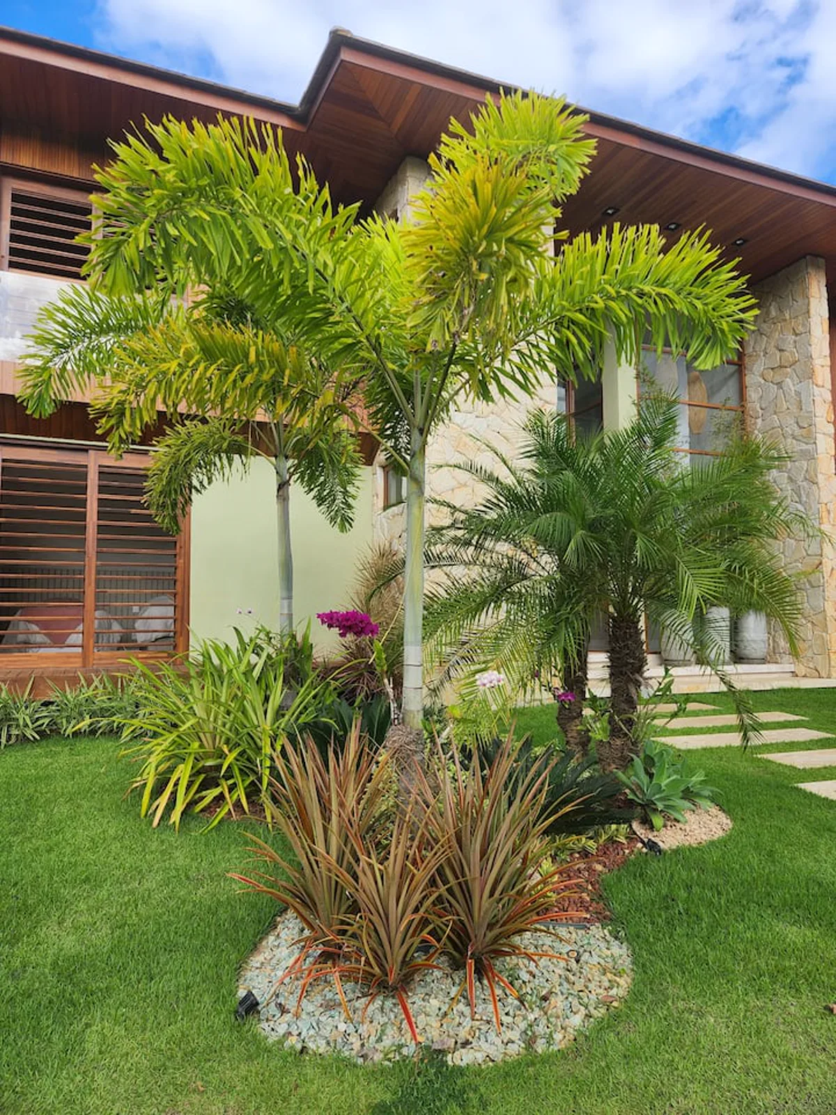 Paisagismo tropical e coqueiros no jardim da vila